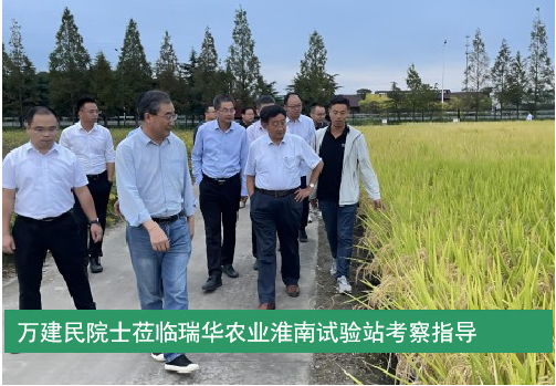 萬(wàn)建民院士蒞臨瑞華農(nóng)業(yè)淮南試驗(yàn)站考察指導(dǎo)